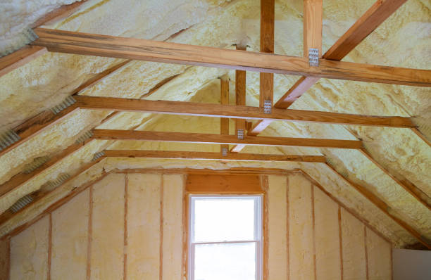 Best Fiberglass Insulation  in Donaldsonville, LA