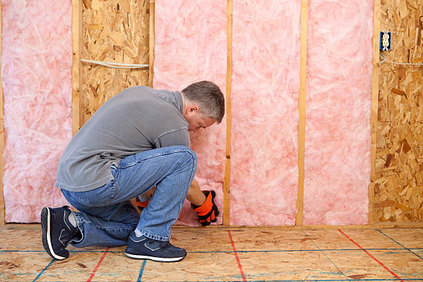 Soundproof Insulation Installation in Donaldsonville, LA